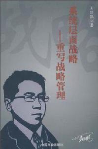 系統層面戰略 系統層面戰略