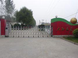 北京市順義區張鎮中心國小校 北京市順義區張鎮中心國小校