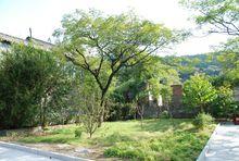 江蘇盱眙第一山國家森林公園