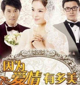 因為愛情有多美第二部 因為愛情有多美第二部
