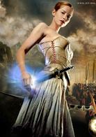 龍騎士[2007年史蒂芬·方梅爾導演美國電影]