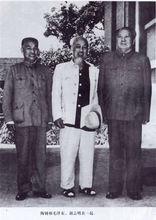 陶鑄珍貴照片集