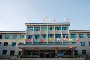 安徽皖維高新材料股份有限公司