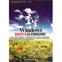 《重生——Windows數據恢復技術極限剖析》