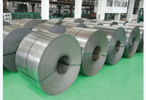 山東九羊集團有限公司