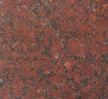 印度紅-大花 | New Imperial Red |