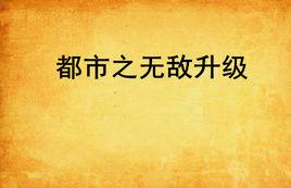 都市之無敵升級 都市之無敵升級