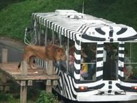 多摩動物園 多摩動物園