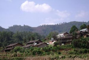 扎陸寨村 扎陸寨村