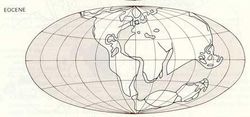 第三紀時期全球的陸地分布
