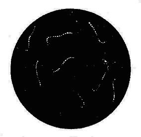 （圖）鉤端螺鏇體(暗視野映光法)