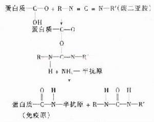 碳化二亞胺的結構圖
