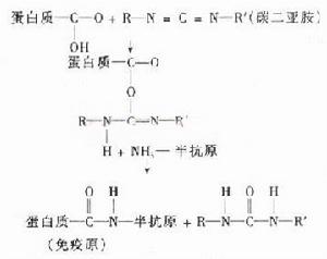 碳化二亞胺的結構圖