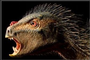 鸚鵡頭箭豬恐龍 鸚鵡頭箭豬恐龍