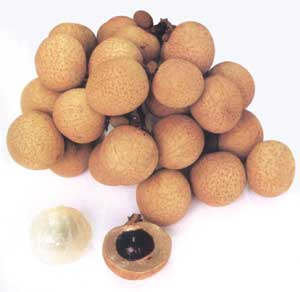 儲良龍眼 儲良龍眼