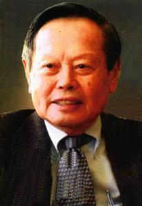 楊-米爾斯(Yang-Mills)理論