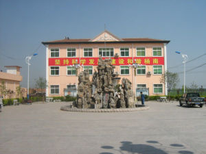 白雲湖鎮楊南村