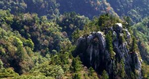 玉皇山森林公園