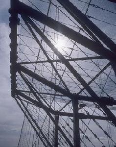 懸索結構 懸索結構