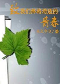 致我們終將消逝的青春 致我們終將消逝的青春