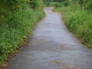 帕溪河自然村 帕溪河自然村