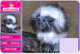 趣味動物拼圖 趣味動物拼圖