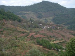 皂角達村 皂角達村