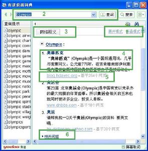 (圖)《有道桌面詞典》