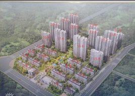 里維埃拉竹海 里維埃拉竹海