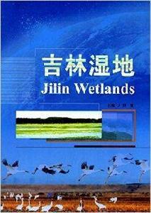 吉林濕地 吉林濕地