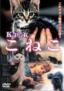 小貓虎子 小貓虎子