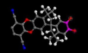 本體聚合 本體聚合