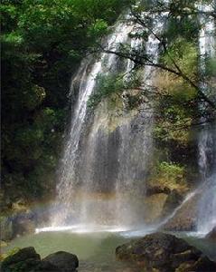 湖北九峰國家森林公園 湖北九峰國家森林公園