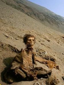 新克羅木乃伊 新克羅木乃伊