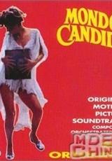 伊莉莎白·安·斯卡伯勒