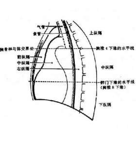 淋巴結反應性增生 淋巴結反應性增生