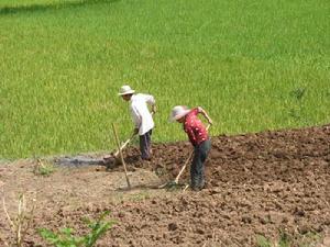 上茂地村 上茂地村