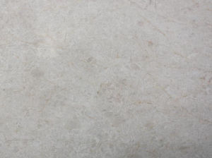 奧特曼米黃 奧特曼米黃