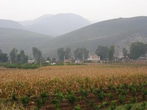 康家河村 康家河村