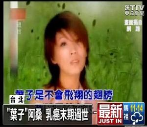 （圖）《葉子》