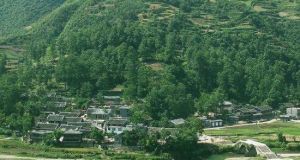 王崗布依寨 王崗布依寨