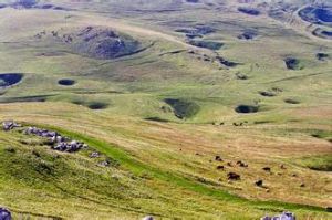 白草坪組 白草坪組