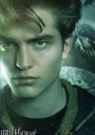 哈利·波特[華納兄弟出品的系列改編電影]