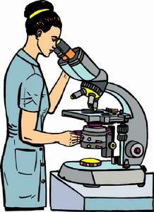 磨洋工理論 磨洋工理論