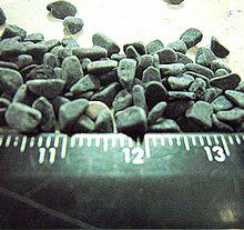 魚友之家收集 大磯沙