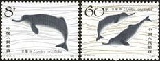 白鰭豚特種郵票