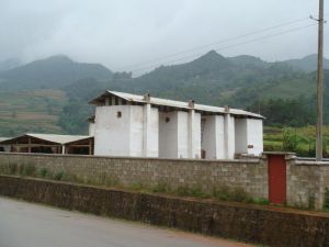 蠻竜一村 蠻竜一村