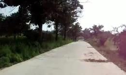 柳林嶺村 柳林嶺村