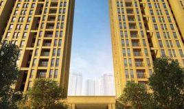 金城華府 金城華府