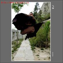 釋德建禪師演練瀕臨失傳的少林傳統武術